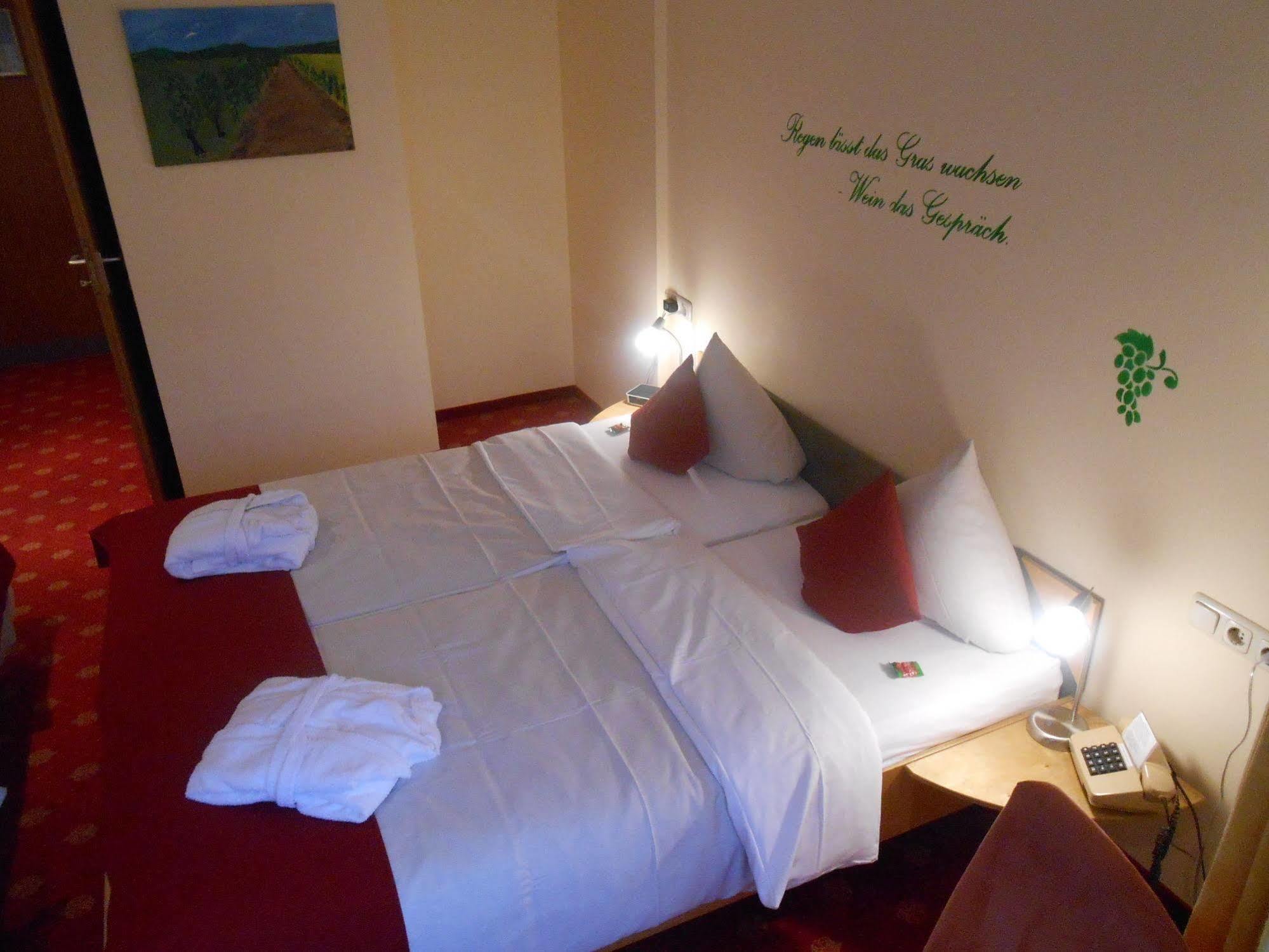 Muehlenthalers Park Hotel Konz Zewnętrze zdjęcie